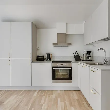 Downtown Penthouse With Sauna Apartment *